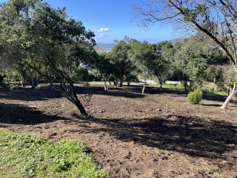 0 Bedroom Property for Sale in Belvidere Estate Western Cape